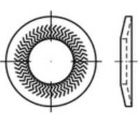 Rondelle à dents de blocage 12 mm 24.25 mm acier inoxydable A4 1000 pc(s) Alstertaler Schrauben & Präzisionsteile 1069895