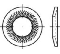 Rondelle à dents de blocage 8 mm 22.25 mm Acier à ressort galvanisé 250 pc(s) Alstertaler Schrauben & Präzisionsteile 159408