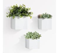 Rongchenghao 3 pots de fleurs muraux, 3 tailles de pots de fleurs muraux en métal, pots de fleurs suspendus, conteneurs de plantes muraux adaptés pour la décoration murale de la maison