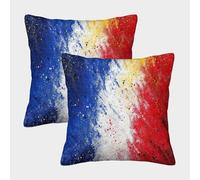 RONGOINL Drapeau français Housse De Coussin Ensemble De 2 Parisien Taie d'oreiller Décoratif Canapé Confort Et Douceur Garantis Housse De Coussin pour Canapé 50x50cm