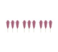 rongweiwang 3 Ensemble de Ajoutez Une Touche élégante à l'espace avec des roseaux de Pampa artificiels, sans Perte et sans Entretien, Fleur Artificielle Violet rosé, Violet rosé 3Ensemble