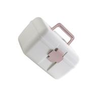 rongweiwang Boîte de Rangement en Plastique à Double Couche, Portable pour l'organisation des médicaments, boîte à médicaments, Kit médical ABS, Mallette à Outils 3. Portable, Poudre Nordique