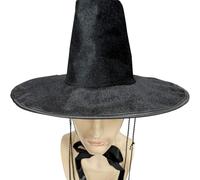 rongweiwang Chapeau noir de costume de chasseur de démons inspiré de l'idole Kpop Jinu avec double perle, chapeau à large bord plat pour Halloween, performance sur scène pour hommes, garçons
