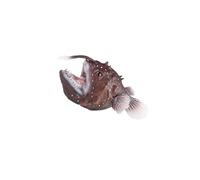 rongweiwang Figurine de Poisson-pêcheur éducative pour Enfants d'âge préscolaire - Jouet réaliste représentant Une créature Marine - Collection de Figurines Poissons-pêcheurs.