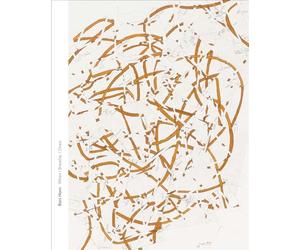 Roni Horn: When I Breathe, I Draw
