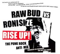 Roni Size - Rise Up (The Punk Rock Anti Mix)