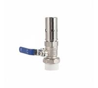 Ronyme Buse Jet d'Eau Tête de Pulvérisation Valve à Bille Conception Robuste en Laiton et Inox pour Affichage Dynamique de Colonne d'Eau et Pression Ajustée, Ss Court 1IN Ppr