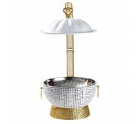 Ronyme Chaudron Alimentaire Stainless Steel Cadre Surélevé Poignées Robustes pour Présentation Élégante Lors Banqus Événements Traiteur Professionnels, Style C