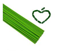 Ronyme Tuteur Orchidée Cadre Support Plantes Renforcé Structure Métallique Protection Intempéries Soutien Tomates Arbres Adapté Jardinier Amateur Professionnel, Moderne, Minimaliste