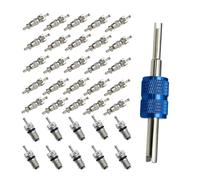 Ronyme Valve d'Air Automobile Kit Noyaux Climatisation Extracteur Double Extrémité Poignée Moletée Corps Fileté pour Remplacement Rapide Suitable pour, 36 Pièces Dans Un Sac