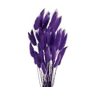 ROOBZE Pampa Fleur Séchée Décoration 50 Count Naturel Fleurs Séchées Bouquet, Fleur de Pampa Chambre Décoration Fleur Séchée Fleurs Sechees Naturelles Bouquet Intérieur Mariage Décoration (Violet)