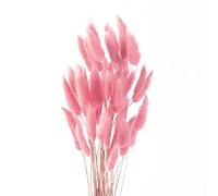 ROOBZE Pampa Fleur Séchée Décoration 50 Count Naturel Fleurs Séchées Bouquet, Fleur de Pampa Chambre Décoration Fleur Séchée Fleurs Sechees Naturelles Bouquet Intérieur Mariage Décoration (Rose)