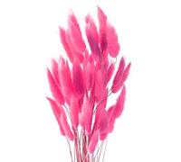ROOBZE Pampa Fleur Séchée Décoration 50 Count Naturel Fleurs Séchées Bouquet, Fleur de Pampa Chambre Décoration Fleur Séchée Fleurs Sechees Naturelles Bouquet Intérieur Mariage Décoration (Rose)