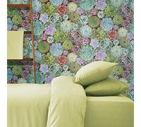 RoomMates Papier peint adhésif Motif succulents