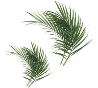 ROOMMATES Stickers - Feuilles De Palmier - Hauteur 92.71 cm Multicolors