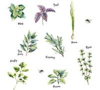 ROOMMATES Stickers - Herbes - Hauteur 22,9 cm Multicolors G