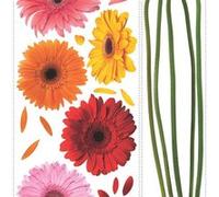 ROOMMATES Stickers - Tiges De Fleurs Avec Têtes De Fleurs - Hauteur 45,7 cm Multicolors