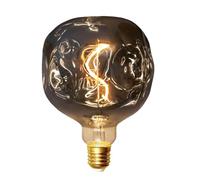 Roomrite Ampoule LED E27, Ampoule Vintage E27 3W Dimmable G125 Φ125mm XXL blanc froid pour Éclairage Rétro Décoration Intérieur - Verre Gris Fumé,G125RM02