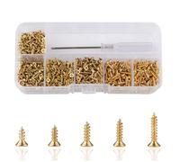 Roosea Petites Vis a Bois 1000 piéce Mini Vis Autotaraudeuses M2 Vis Tête Plate Micro Visserie, Vis dorées de Petites (5-10mm)
