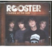 Rooster - Staring at The Sun 2