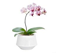 Root Control Pot de fleurs double couche en plastique respirant pour une circulation de l'air et un drainage optimaux pour la santé des plantes (noir (blanc sans fleurs)