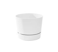 Root & Vessel Majestic Mid-Century Modern Low Profile Cylinder Pot, Matte White, 10.5"