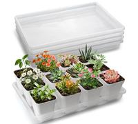 RooTrimmer Lot de 5 plateaux de démarrage transparents (43,2 x 27,9 x 5,1 cm), plateaux de transport réutilisables en plastique pour semis et pépinières, plateaux plats durables pour planter et