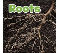 Roots by Marissa Product Manager Kirkman Marissa Product Manager Kirkman (Auteur)