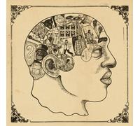 Roots - Phrenology