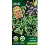 Roquette sauvage - Protecta Graines paysannes - Env. 3 gr | 441-Protecta