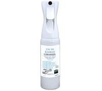 ROQYA VAPORISATEUR ROQYA ZAMZAM 300ML - PROTECTION MAISON, COMMERCE, BUREAU, VOITURE - CONTRE DJINNS, SIHR, MAUVAIS ŒIL, BLOCAGES, TENSIONS INEXPLIQUÉES - CORANISÉE