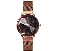RORIOS Femme Montre Analogique Quartz Watches Cristal Ciel étoilé Dial Acier Inoxydable Mesh Bracelet Mode Montres pour Femmes Fille