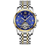 RORIOS Montre de Poignet Mécanique Homme Montres Bracelet Tourbillon Automatique Montre Squelette Acier Inoxydable Montre Élégant Diamant Bleu Argent B