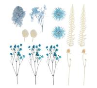 RORPOIR 11 Cartes De Vœux avec Fleurs Séchées en Boîte À Fleurs Délicates Et Polyvalentes