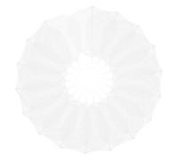 RORPOIR 20pcs Spécimen de Veines Naturelles Blanches pour Décoration Artisanale, Matériel de Bricolage DIY, pour Emballage et Fond Photo