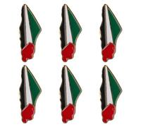 RORPOIR 6pcs Broches Drapeau Palestine en Alliage de Zinc Non Décolorant, Design Distinctif et Élégant pour Accessoires de Vêtements et Présents Entre Amis