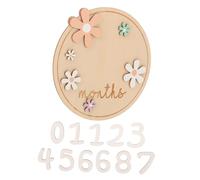 RORPOIR Cartes Mensuelles de Jalons en Bois pour Bébé, 1 Set, Surface Lisse et Solide, Accessoire Photo pour Naissance, Filles et Nouveaux Parents