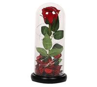 RORPOIR Rose Immortelle LED sous Verre Décoration pour Maison De Saint Valentin Pile Et Anniversaire pour Femmes