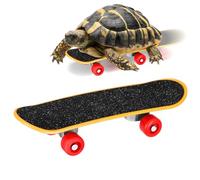 RORPOIR Skateboard Tortue en Abs Antidérapant Surface Sablée, Mini Skate pour Reptiles de Toutes Tailles, D'entraînement pour Tortues et Petits Animaux, Accessoire Ludique et Santé