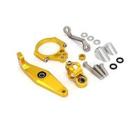 RORVECQ Kit De Fixation Pour Amortisseur Direction Moto Pour Yamaha MT09 MT-09 SP 2021 2022 2023 2024 Motif Carbone(Model I)