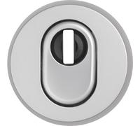 Rosace de protection de cylindre - aluminium gris alu - RHZS415 F1 ABUS