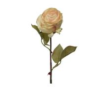 Rose, 61 cm, blanc/rose, Kaeming