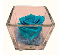 Rose Bleue Turquoise Naturelle PRÉSERVÉE. Cube en Verre. Rose éternelle Bleue. Achetez des Roses Bleues. Fleurs préservées
