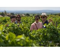 Rosé & Côtes DE Provence Visite des vins au départ de Marseille