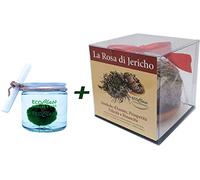 Rose de Jéricho et Marbre