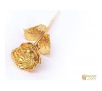 Rose dorée - Plaquée or 24K - Boîte en velours noir - Certificat d'authenticité