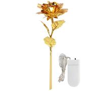Rose en feuille d’or avec guirlande lumineuse, cadeau d’amour éternel pour la Saint-Valentin, décoration de mariage, éclairage romantique pour petite amie ou épouse, rose (Couverture rigide dorée)