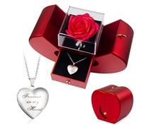 Rose Eternel Pomme avec Bijoux, Fleurs éternelle et Collier, Forever Red Rose Heart Box to My Love , Preserved Roses in Box Cadeau Pour Elle à La FêTe Des MèRes, Anniversaire, NoëL, Saint Valentin