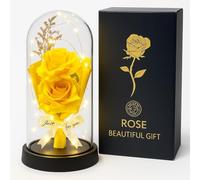 Rose éternelle avec lumières LED sous dôme transparent - Idée cadeau romantique pour la Saint-Valentin, anniversaire, fête des mères et anniversaire - Décoration élégante pour la maison (jaune 2)