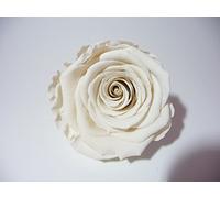 ROSE ETERNELLE BLANCHE POUR LA REALISATION DE DECORATION FLORALE DURABLE, A ASSOCIER AVEC DU SABLE COLORE ET UN PETIT VASE OU AUTRE SELON VOTRE IMAGINATION